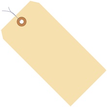 10 Point Manila Tags